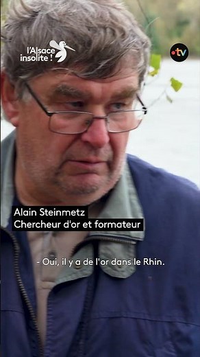Depuis des siècles, des #orpailleurs arpentent les rives du Rhin à la recherche d'#or 🤠 #insolite