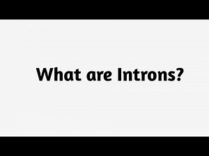 What are Introns ?