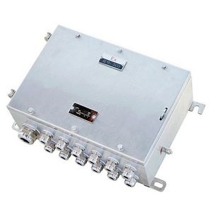 [Hot Item] Hazardous Area Explosion-Proof Junction Box Stainless Steel Battery Box Stainless Steel Lithium Battery Box