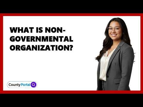 What Is Non-Governmental Organization?