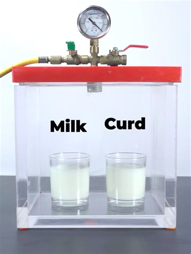 Milk vs Curd: Science Experiment Inside a Vacuum Chamber