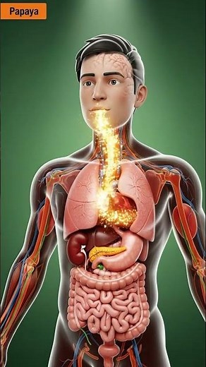 Papaya Digestion | Papain Enzyme in Action
