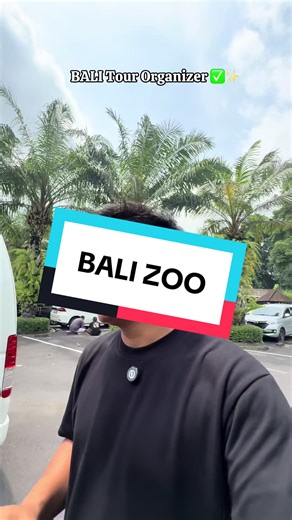 Discover Bali Tours and Activities with Expert Guides