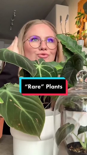 Debunking the Myth of