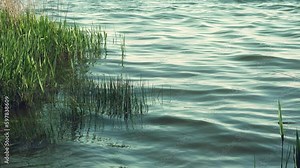 Slow motion 4K shot light reflections and waves in a water as natural background. Peaceful environment. Sunset at pond or river