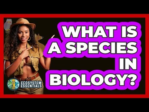 What Is A Species In Biology? - Ecosystem Essentials