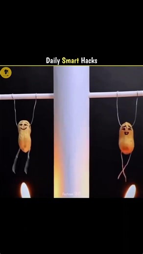 5 Mind-Blowing Science Experiments You Can Try at Home! 🧪⚡