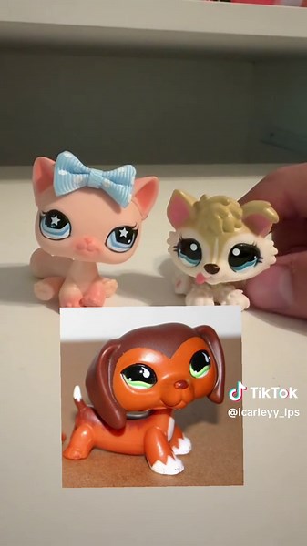 Guess the Gender of Littlest Pet Shop Toys