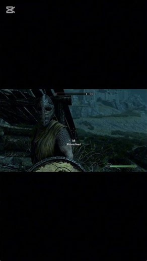 Finally about time someone respects the double handed people of Skyrim. #bethesda #skyrim