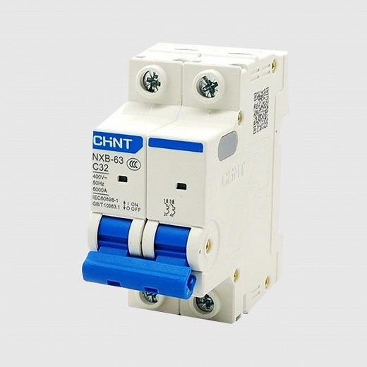 [Hot Item] Chint Nxb-63 MCB 1p 2p 3p 4p C1 C2 C3 C4 C6 C10 C16 C20 C25 C32 C40 C50 C63 B1 B2 B3 B4 B6 B10 B16 B20 B25 B32 B40 B50 B63 Chnt Mini Circuit Breaker