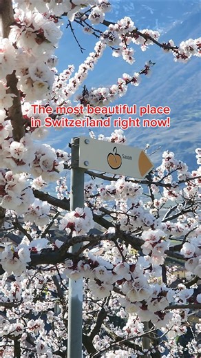 You have 2 weeks, hit the trail now! 🌸 First Spring hike of the season!!!