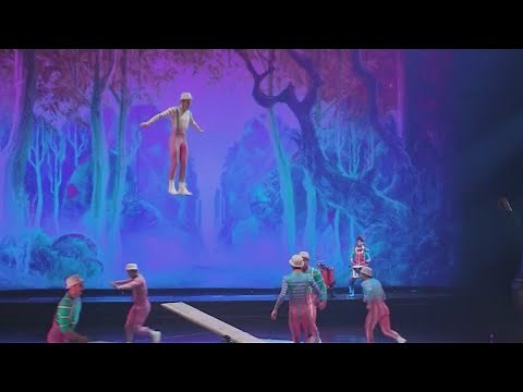 New Cirque du Soleil show at Disney Springs debuts: 'Drawn to Life'