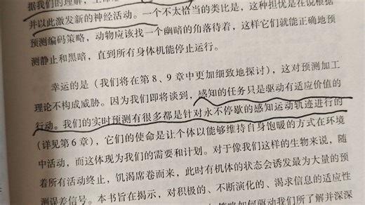 认知科学领域前沿理论之一：预测编码的一点困惑