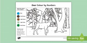 Deer Colour by Number