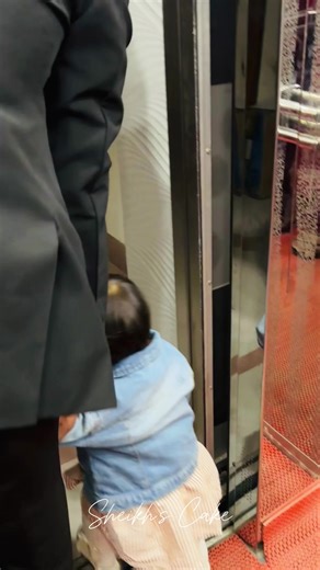 Baking and Decorating a Cake: Step-by-Step Guide