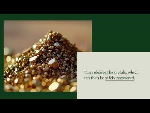 Bioleaching Explained