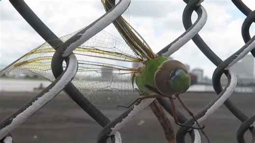 trainengineer | hello bug | Instagram