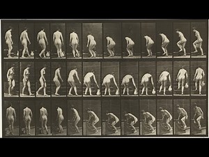 Animal Locomotion: Plates #101-110 (1884-1887) by Eadweard Muybridge