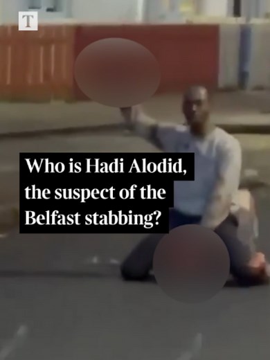 Who is Hadi Alodid, the suspect of the Belfast stabbing? The 30-year-old Sudanese citizen who was granted leave to remain in the UK in 2023, appeared in court via video link on Wednesday accused of attacking Stephen Ogilvie. Ogilvie “lost a left eye” and suffered lacerations to his back and cuts to his face as a result of Monday’s attack, Belfast magistrates court heard. The victim, in his forties, is understood to be a resident in the area. He was rushed to hospital and remained in a serious co