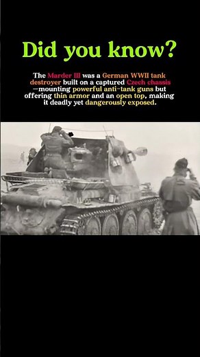 Marder III: Germany’s Deadly but Exposed Tank Destroyer