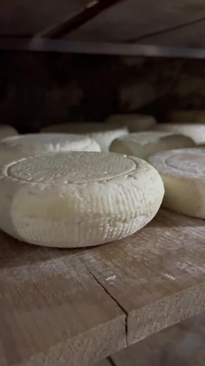 Explore Authentic Georgian Cheeses: Sulguni and More