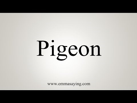 How To Say Pigeon
