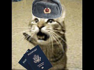 (Meowsynth) Papers Please Main Theme