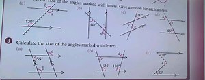 (b)(3) Calculate the size of the angles marked with letters.(... | Filo