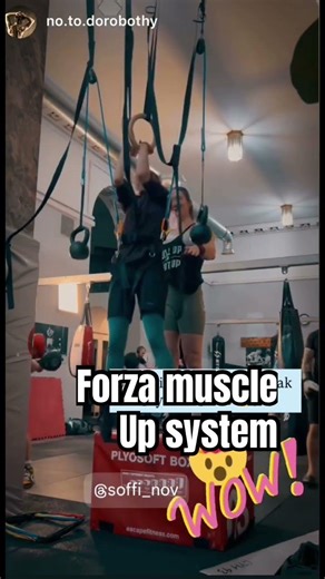 Forza muscle up system