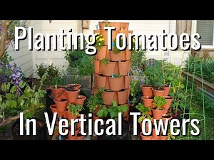 How to plant Tomatoes in Vertical Towers/Greenstock/Dollar Tree