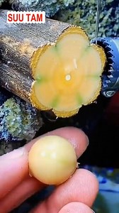 19K views · 54 reactions | Making wood beads | Sad Quotes | Facebook