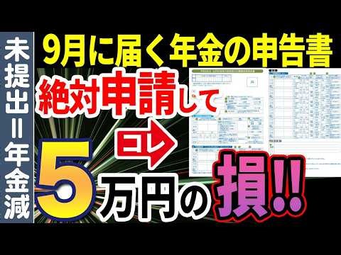 【9月に届く】公的年金に関する書類を必ず出して！提出しないと年金が減額される仕組みについて解説【扶養親族等申告書】