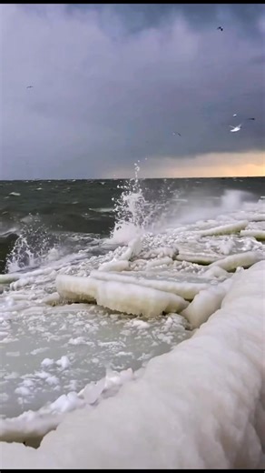 This isn’t the ocean 🌊 These are seagulls flying through a Great Lakes winter storm as waves and ice slam the pier at Grand Haven, Michigan. Near-freezing water breaks into rounded ice, winds shove it ashore, and birds ride the chaos like it’s normal. Beautiful, brutal, and very real. #GreatLakes #LakeMichigan #WinterStorm #IceShove #GrandHaven This is an AI generated cinematic recreation inspired by real winter storm conditions at Grand Haven | Joemar Sombero
