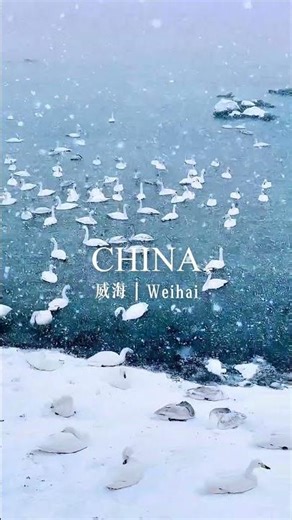 Weihai is a poetic coastal abode on the 37th parallel north.
