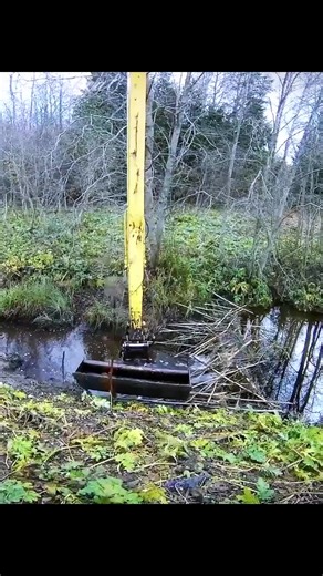 Fast Beaver Dam Removal With Heavy Equipment #beaverdam #heavyequipment | Viral Videos kh