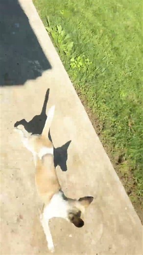 Having some fun together