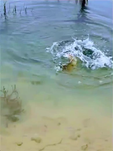 Exploring Popular Fishing Techniques for Peche Lovers