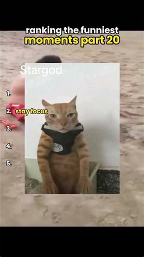 ayy yo ranking the funniest moments part 20 #funny #humor #memes #humorvibes #laugh #comedy