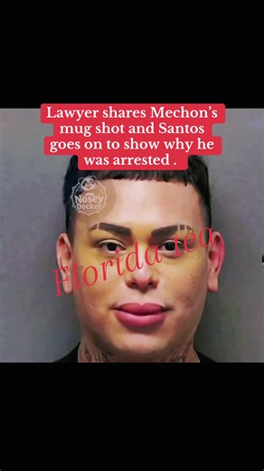 🫖 🍊 Florida Tea 🍊🫖 (@teawithsidney)’s video of santos