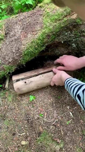 Looking for a log 📝 inside a log? 🪵 This is the geocache for you! Has your mind been blown recently? 🤯 Video by geocaches_finland. | Geocaching