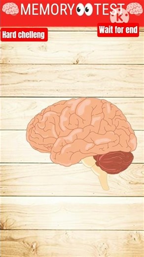 improve memory retention and recall,🧠 #shorts #ytshorts