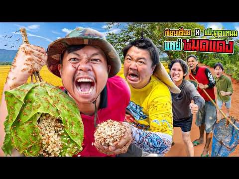 เซียนเตื่อย x แปะดูดแหนม (ตำนานที่ยังมีลมหายใจ) ตอนแหย่ไข่มดแดง