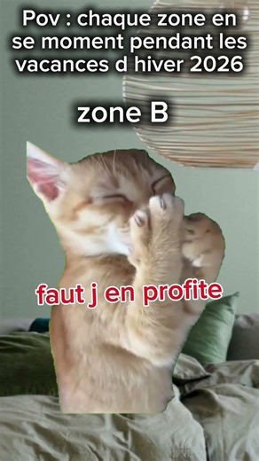 Pov : chaque zone en se moment pendant les vacances d hiver 2026 #chat #drôle #humour #meme