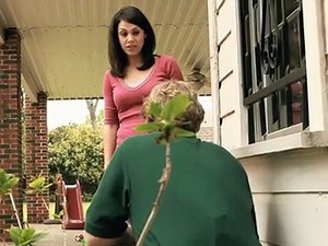 How to get rid of and protect against termites - video Dailymotion