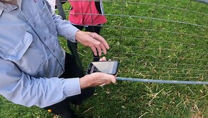 2.4K views · 28 reactions | Danger dance with a Deadly Rough Scaled...