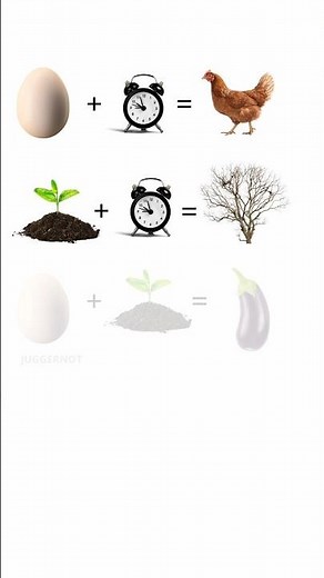 screaming chicken on tree meme #memes #funnymemes