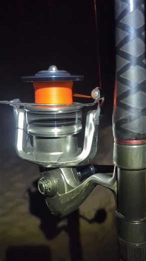 Snapper Fishing: Tips for a Successful Catch