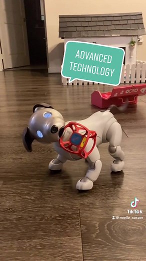 Meet Casper: The Advanced Ai Robot Dog
