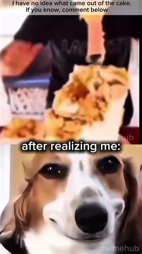 Wait wait please subscribe to my channel 🥰 #halo