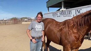 Watch this video as Wendy explains about Kissing Spine and the importance of the back spread of a saddle tree! 💎 Kissing Spines Occurs when two or more bony projections at the top of the vertebrae touch - 💎 Simply you can’t have a tree or saddle that hinges on the nerves , muscle or spine . #knowledgeispower #saddlefit #education #burnssaddles #fits Burns1876.com 1-800-453-1281 | Burns Saddlery